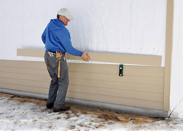 Best Vinyl Siding Installation  in Ogden, IA